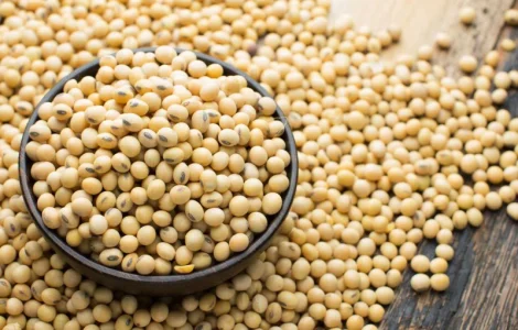 На постійній основі підприємство купує СОЮ!Максимальні ціни!Оплата на Вагах