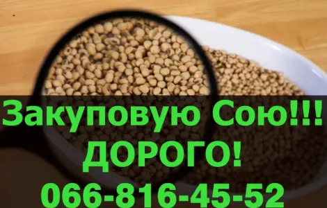 Куплю СОЮ по высокой цене!Самые высокие цены в Украине