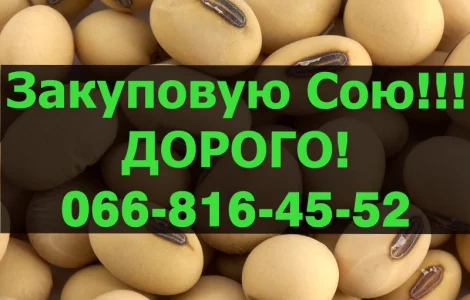 Переробне підприємство оголошує про закупівлю СОЮ