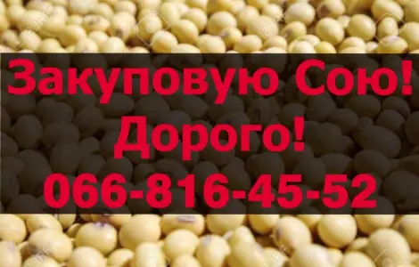 Покупаю СОЮ в любом объеме