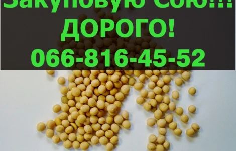 На постійній основі закуповую СОЮ в будь якій кількості