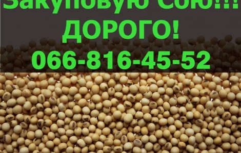 Запрошуємо до співпраці виробників СОЇ!Куплю сою !!!!ДоРОГО