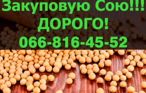 Купуємо СОЮ на конкурентних умовах