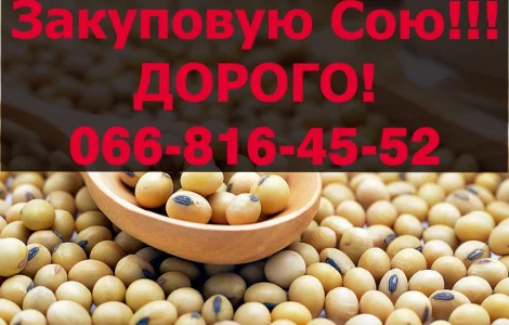 Закуповую в обємах СОЮ