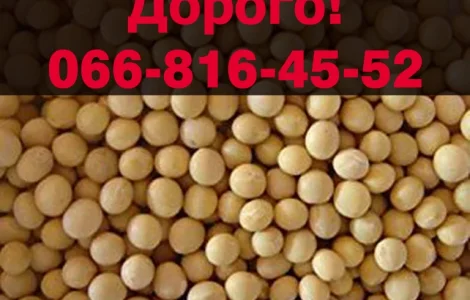 Закуповую за найвищими цінами СОЮ