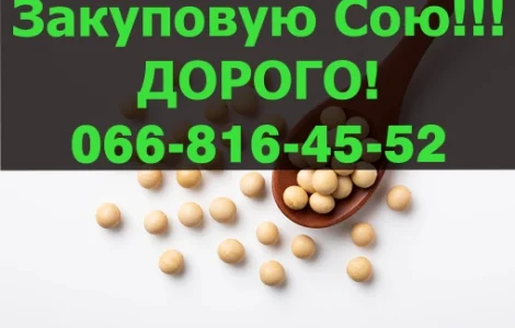 Куплю на постійній основі СОЮ!Максимальні ціни