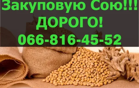Купую СОЮ у великих обсягах