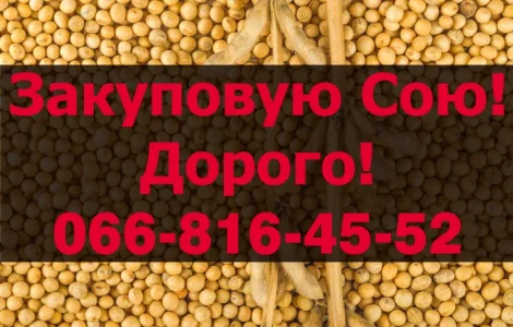На постійній основі закуповую Сою у будь якому обсязі