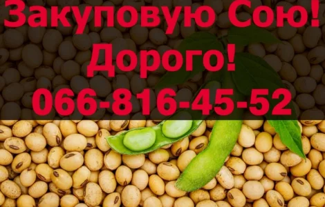 На постійній основі закуповуємо СОЮ