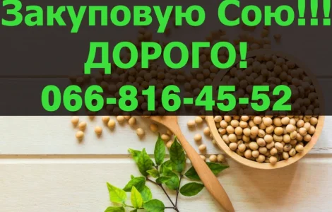 Заготівля СОЮ урожай 2024року!Контракт!розрахунок на вагах