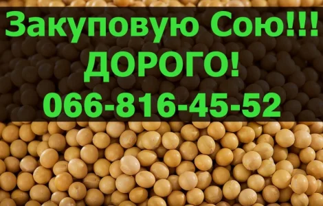 Купуємо СОЮ!Дорого!Запрошуємо виробника до співпраці