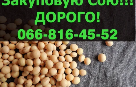 На постійній основі заготовляємо СОЮ