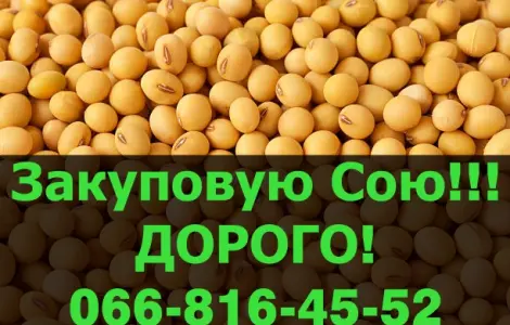 Предприятие покупает СОЮ крупным оптом