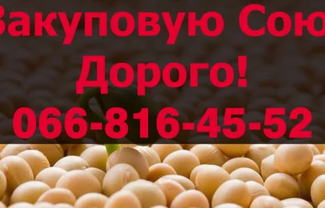 Підприємство Закуповує Сою!Контракт!ДОрого!Оплата на Вагах