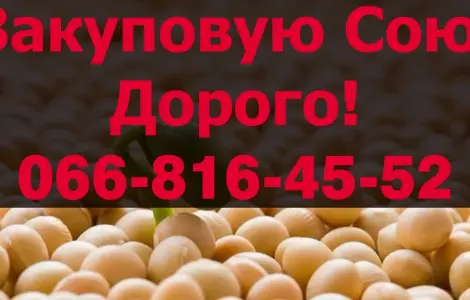 Предприятие Закупает Соя!Контракт!Дорого!Оплата на Весах