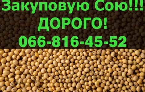 На постійній основі купуємо СОЮ!Великі контракти