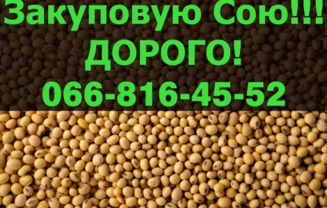 На постоянной основе покупаем СОЮ!Большие контракты
