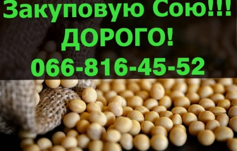 Підприємство купує СОЮ!Дорого