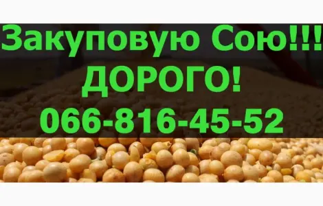 Закупаю СОЮ в любом количестве!Дорого!Оплата на весах
