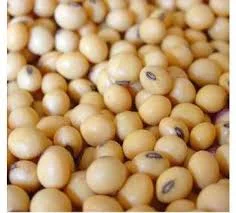 Семена сои ВЕНУС под гербицид 1 репрод