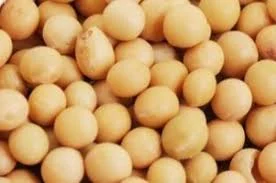 Семена сои МЕНТОР элита 1 репрод