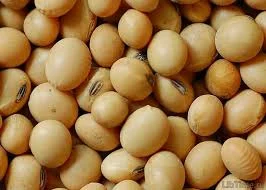 Семена сои сорта ДИОНА 1 репрод