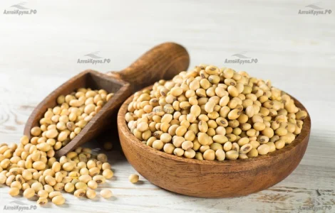 Закупляємо Сою ( ГМО не ГМО ) / Київська область