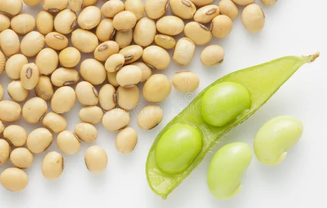 Куплю СОЮ з ПОЛЯ : Оплата-На вагах Самовивіз Власним транспортом Кількість:Крупний опт