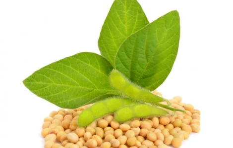 Закуповуємо сою великими та дрібними оптовими партіями