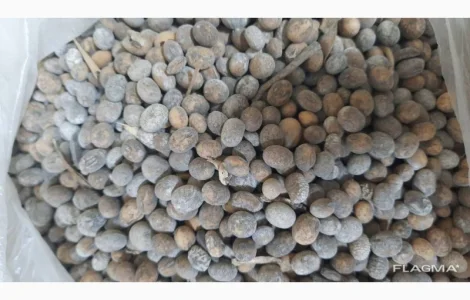 Куплю сою. Половинки сої. Соєві відходи. Пошкоджена