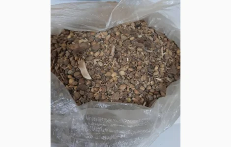 Куплю відходи сої