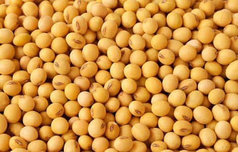 Куплю сою
