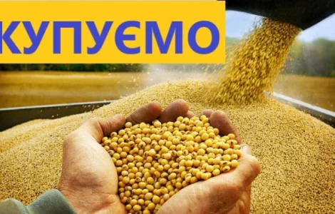 Закупаем сою постоянно самовывоз расчет на весах. НЕКОНДИЦИЯ