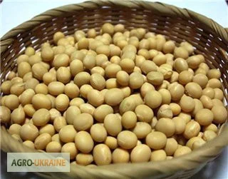 Закупаем сою