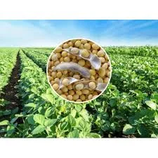 Семена сои S04-D3 – высокопродуктивный сорт