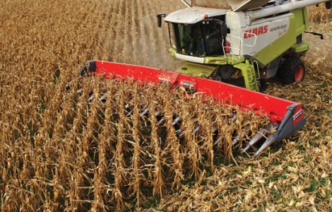 Услуги по уборке сои и других ранних зерновых комбайнами Класс
