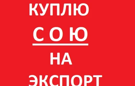 Куплю Сою на Экспорт