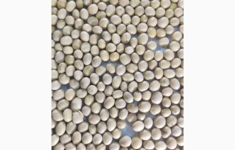 Купуємо сою по ф1 з ПДВ без ГМО