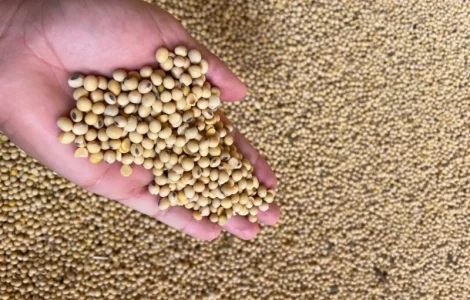 Продам СОЮ 19000 ПДВ