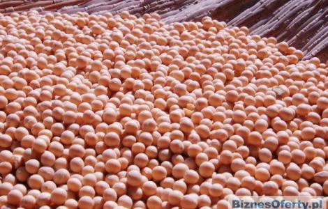 Купую сою ГМО і не ГМО