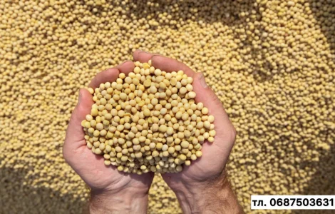 Закупівля сої ГМО та не ГМО