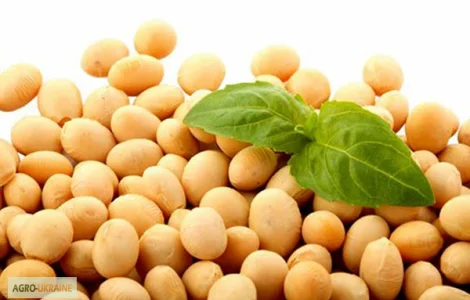 Куплю сою любую