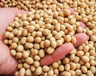 Куплю сою. Самовывоз из Винницкой области