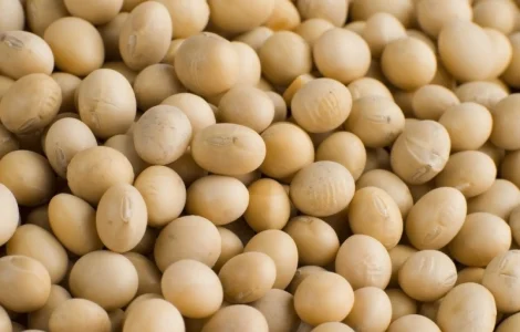 Закупка сои. Расчет на весах