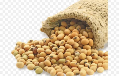 Куплю сою в любом количестве