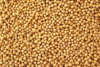 Закупка сои на переработку