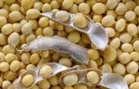 Закупаем сою в Винницкой области