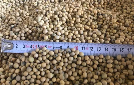 Продам сою