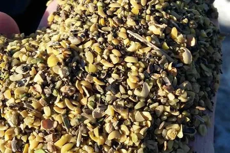 Куплю отходы Сои