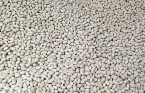 Закупаем Фасоль, Половинки фасоли